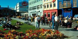 Austurvollur square in Downtown Reykjavik