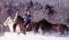 Horseback Riding